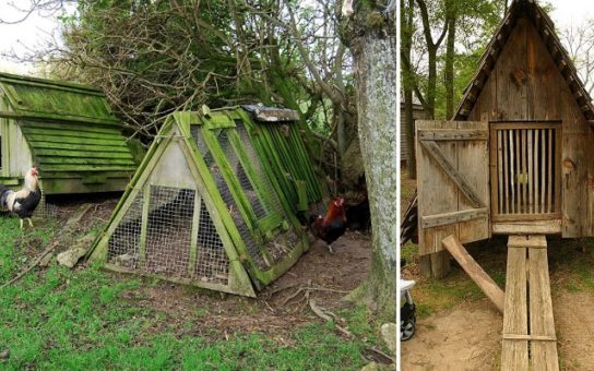 A-frame-chicken-coop-640×340