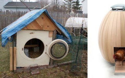 Chicken-House-640×300