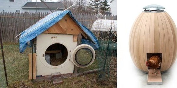 Chicken-House-640×300