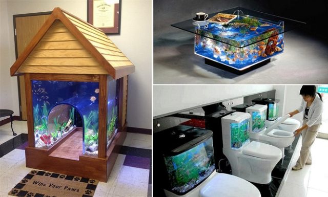 Creative Aquariums Ideas For Fish Lovers – J & N Roofing Maintenance, LLC.