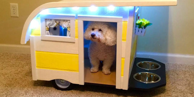 Canine-Camper-1-640×566