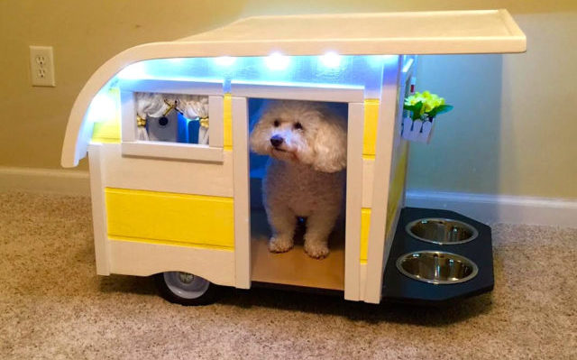 Canine-Camper-1-640×566
