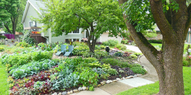 Front-Lawn-Vegetable-Garden-640×480
