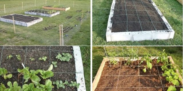 Square-Foot-Garden-in-10-Easy-Steps-640×474