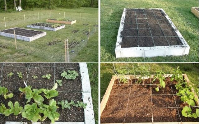 Square-Foot-Garden-in-10-Easy-Steps-640×474