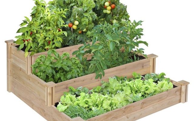 Tiered-Cedar-Raised-Garden-Bed-640×640