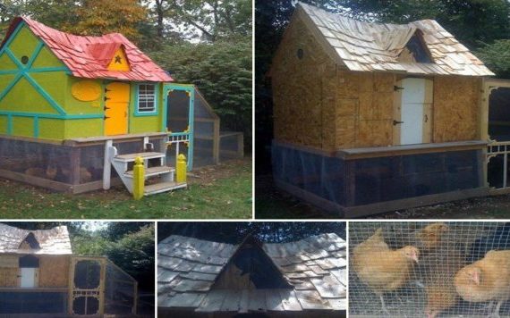 diy_chicken_coop-640×356