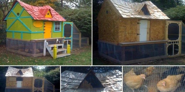 diy_chicken_coop-640×356