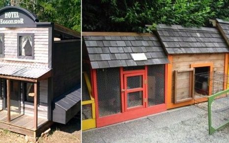 urban-chicken-coop-640×291