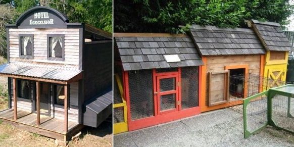 urban-chicken-coop-640×291